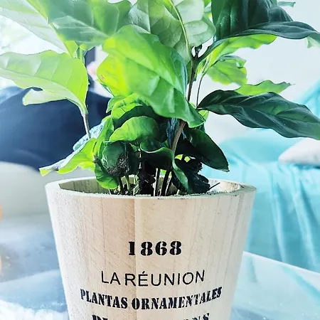 Apartment Garden Flat In *